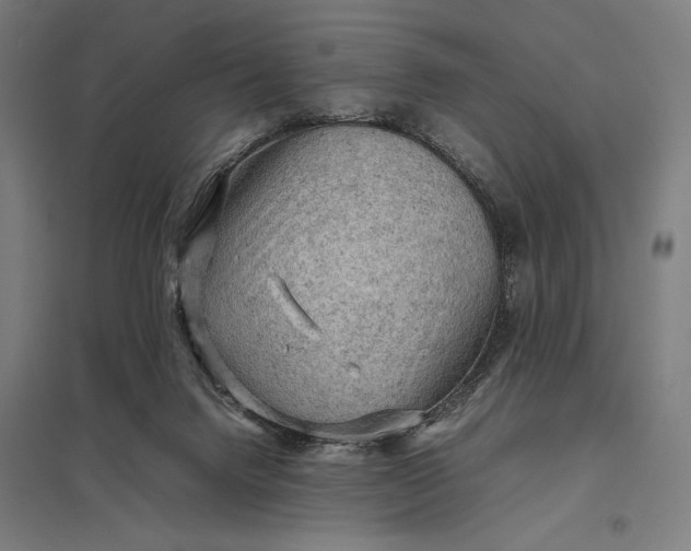 X0000097920072200803281435