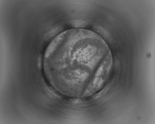 X0000097920074200803281435