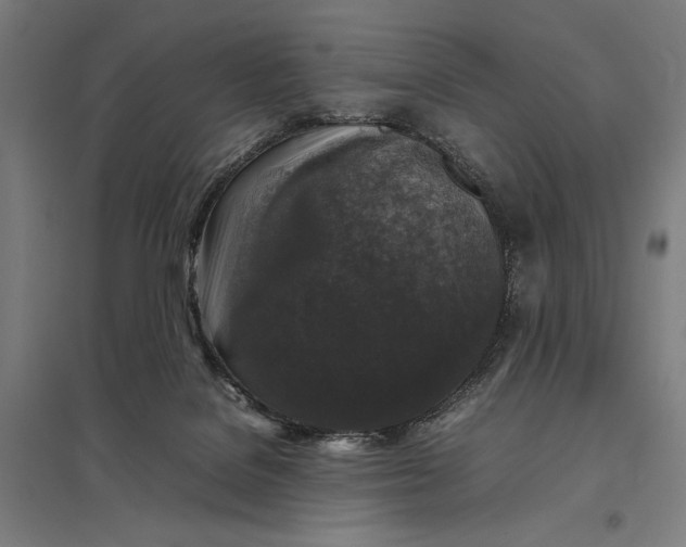 X0000097920076200803281435