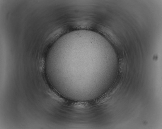 X0000097920077200803281435