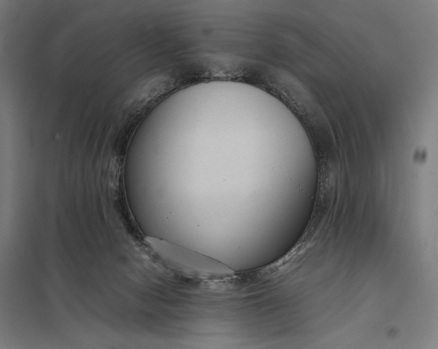 X0000097920078200803281435