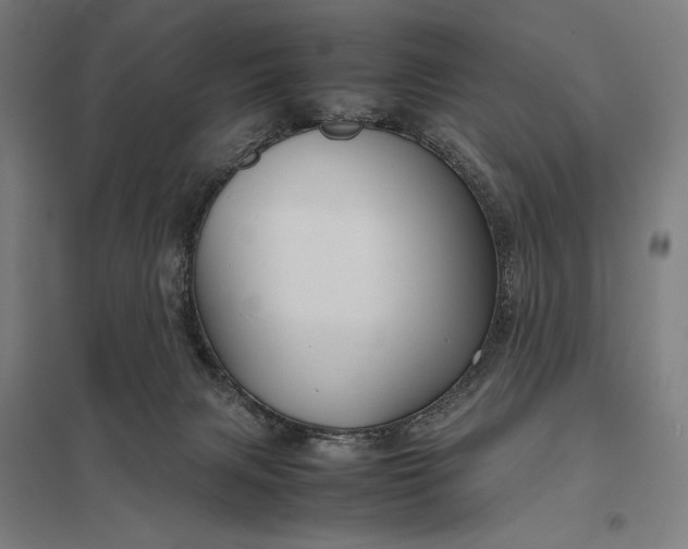 X0000097920079200803281436