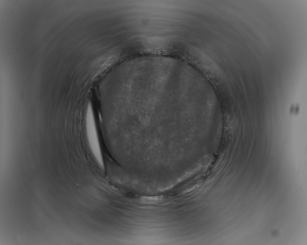 X0000097920080200803281436