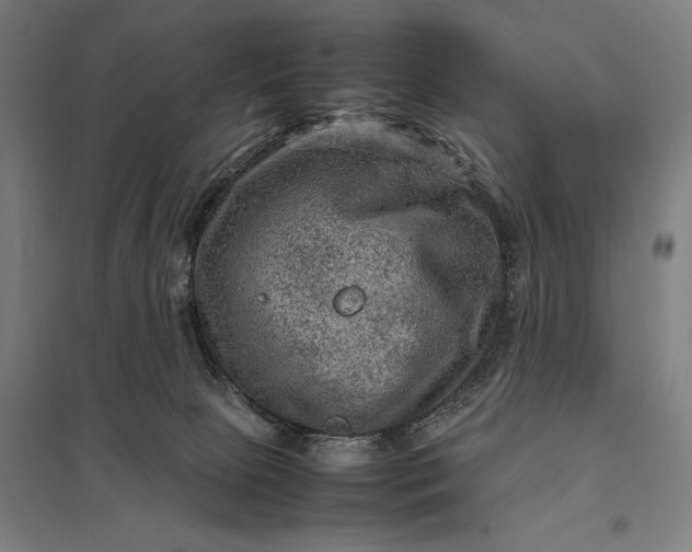 X0000097920081200803281436