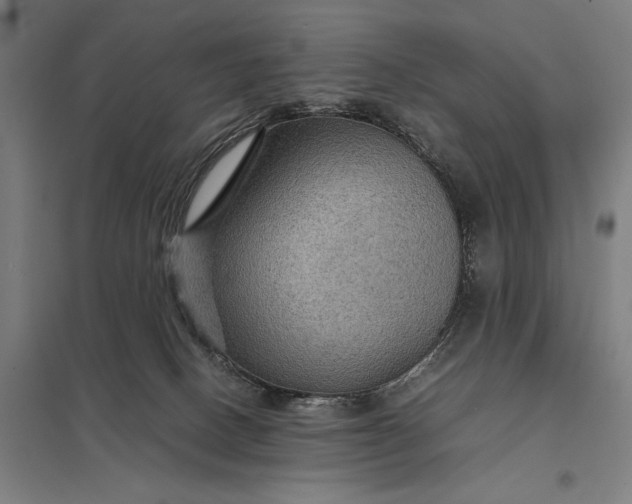 X0000097920082200803281436