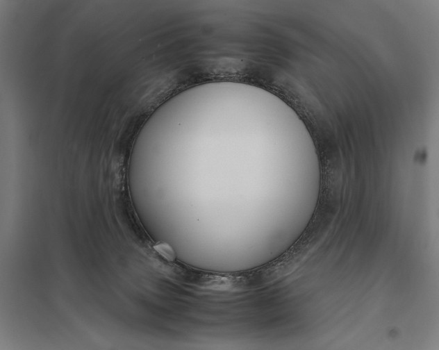 X0000097920083200803281436