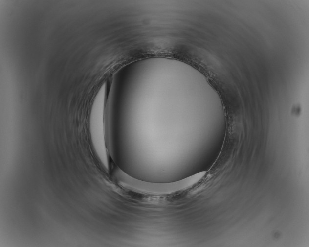 X0000097920084200803281436