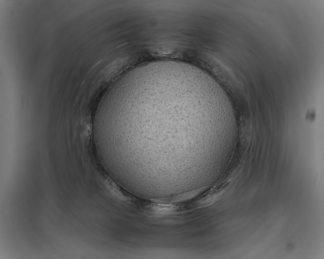 X0000097920085200803281436