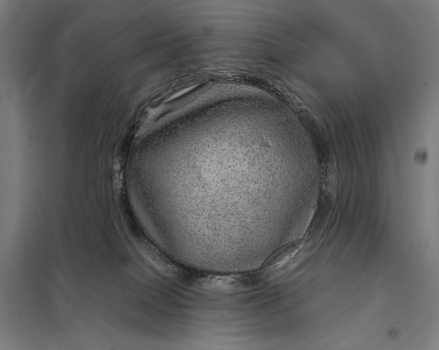 X0000097920086200803281436