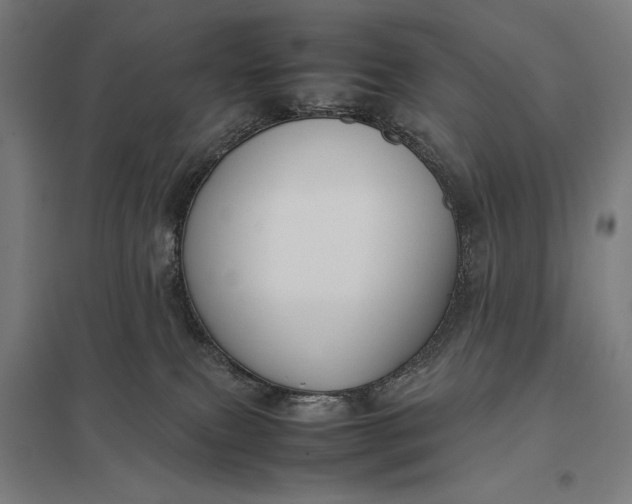 X0000097920087200803281436