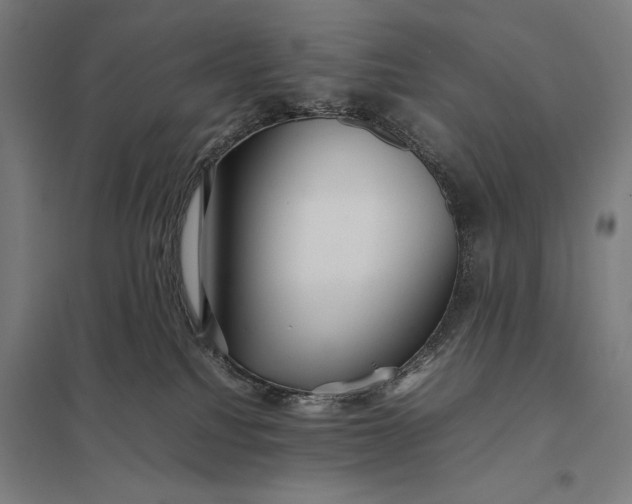 X0000097920088200803281436