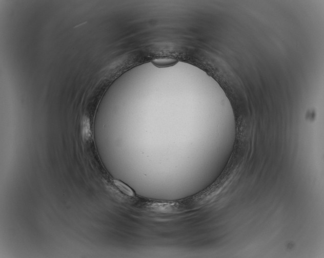 X0000097920089200803281436