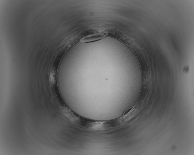 X0000097920090200803281436