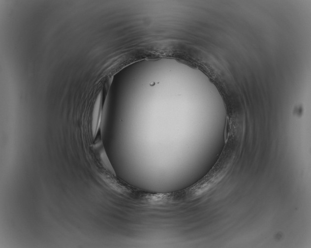 X0000097920092200803281436