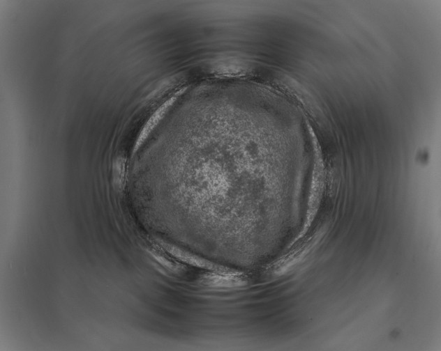 X0000097920093200803281436