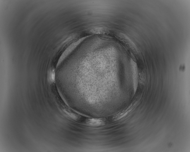 X0000097920095200803281436