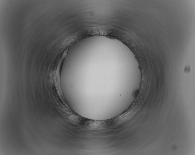 X0000097920096200803281436