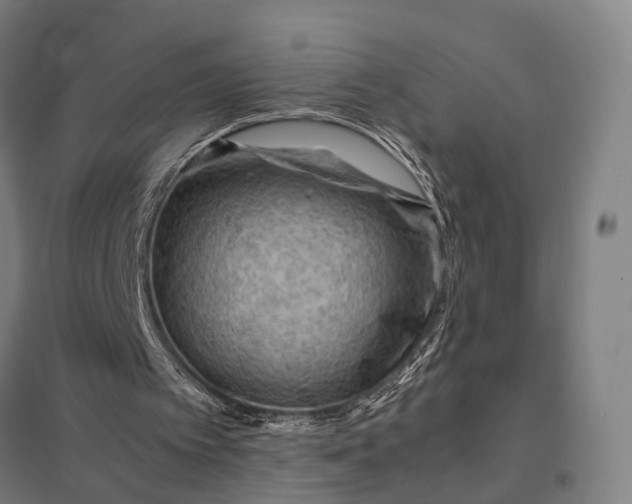 X0000097920097200803281435