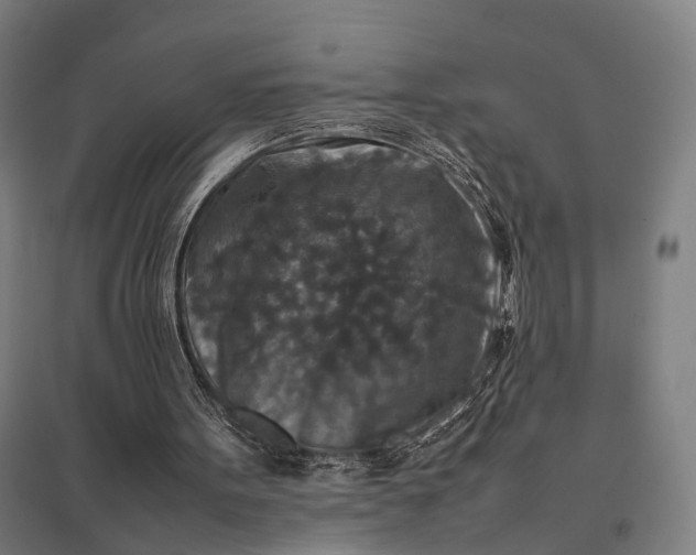 X0000097920099200803281435