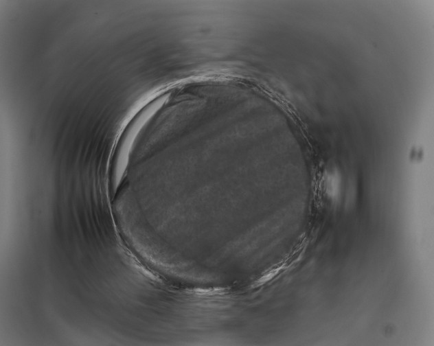 X0000097920100200803281435