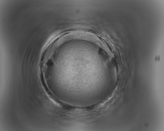 X0000097920101200803281435