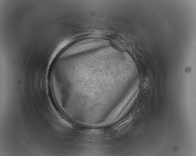 X0000097920102200803281435