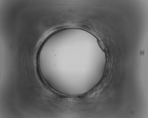 X0000097920103200803281435