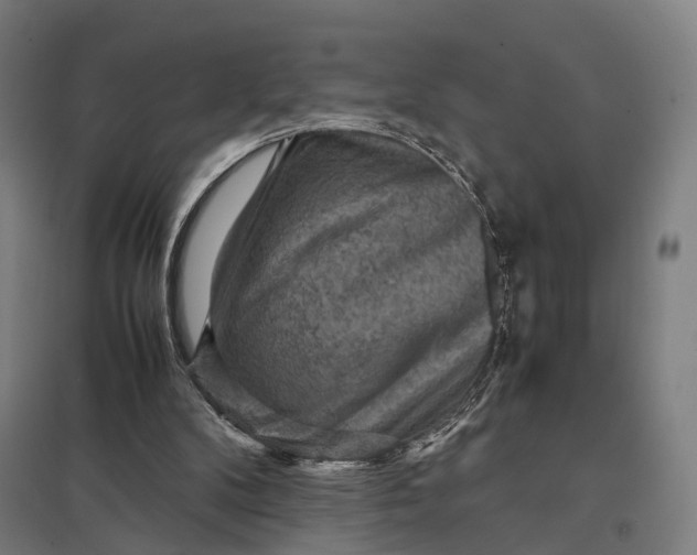 X0000097920104200803281435