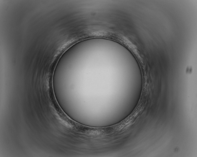 X0000097920106200803281435