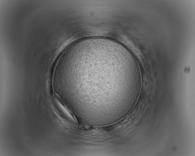 X0000097920107200803281435