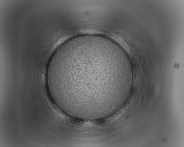 X0000097920111200803281435