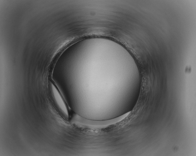 X0000097920112200803281435