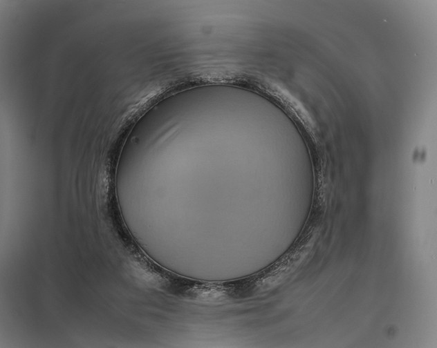 X0000097920113200803281435