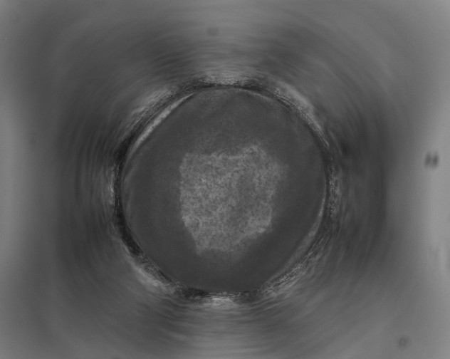 X0000097920114200803281435