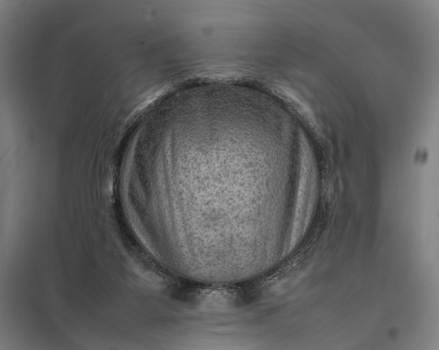 X0000097920115200803281435