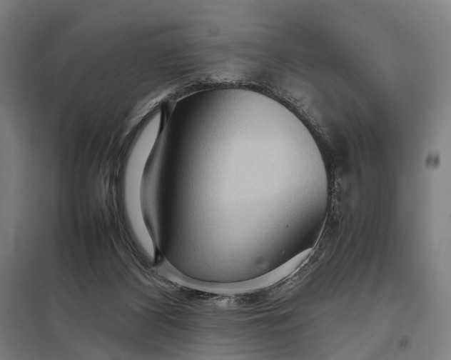 X0000097920116200803281435