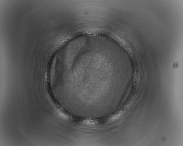 X0000097920117200803281435