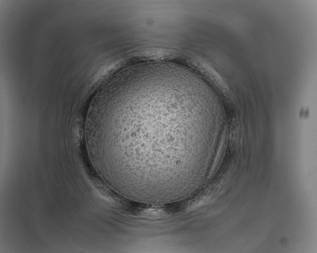 X0000097920119200803281435