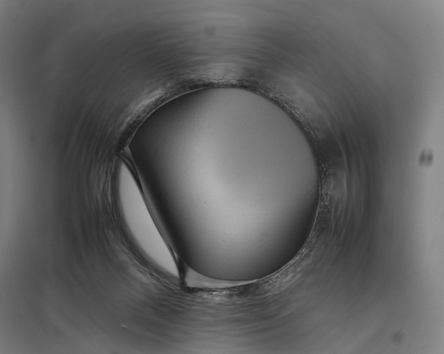 X0000097920120200803281435