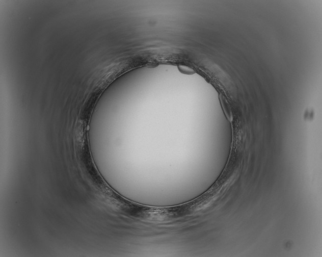 X0000097920121200803281435