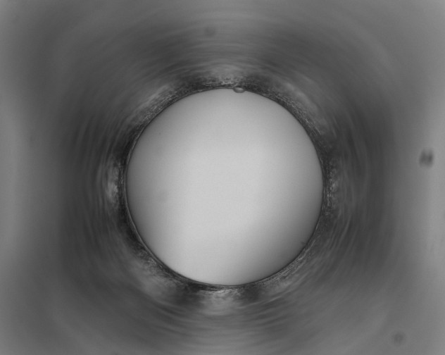 X0000097920122200803281435