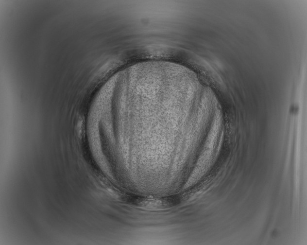 X0000097920123200803281435