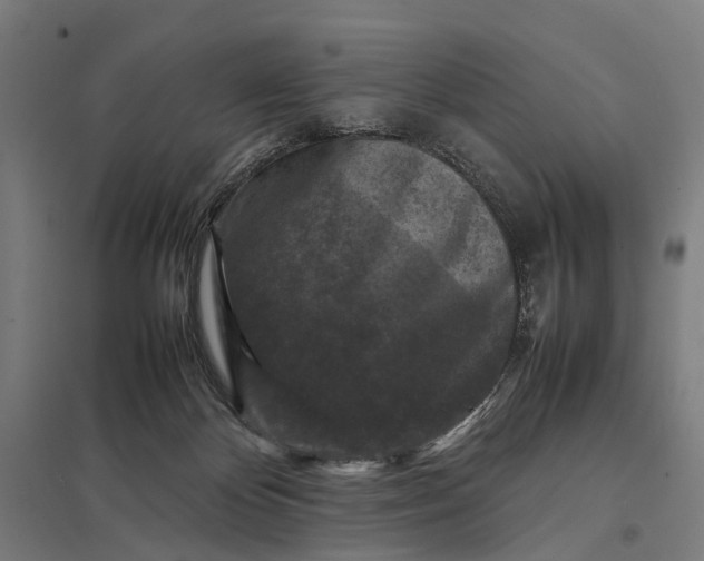 X0000097920124200803281435