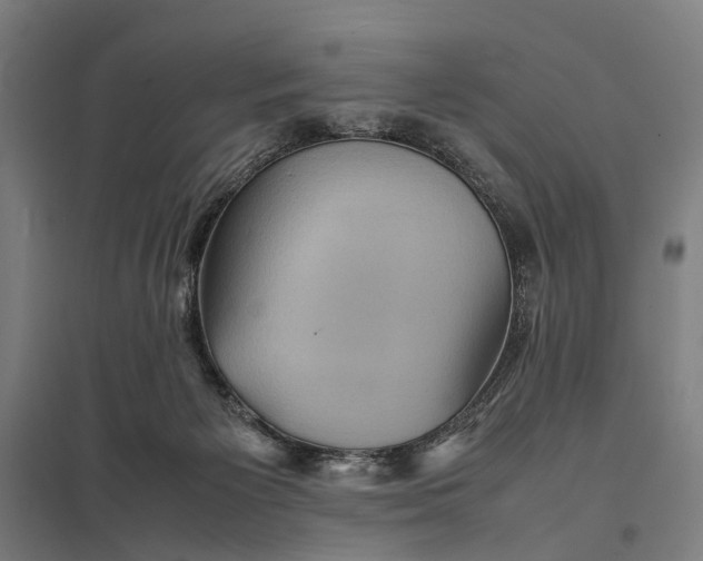 X0000097920125200803281435