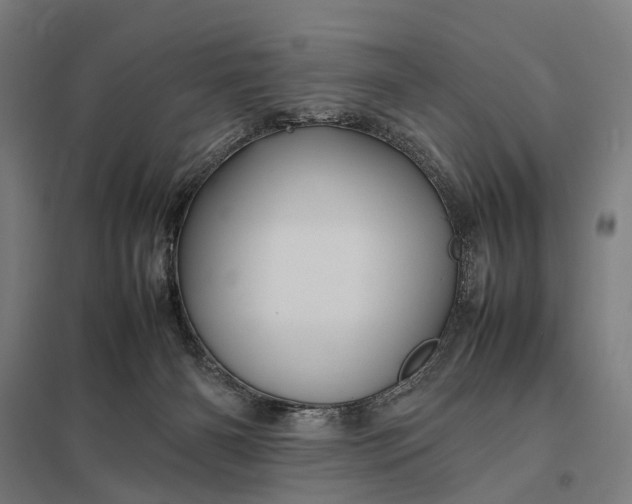 X0000097920126200803281435