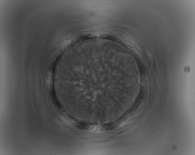 X0000097920127200803281435