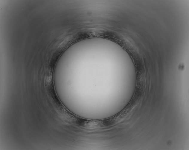 X0000097920129200803281435