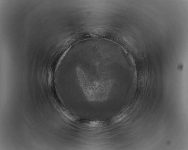 X0000097920130200803281435