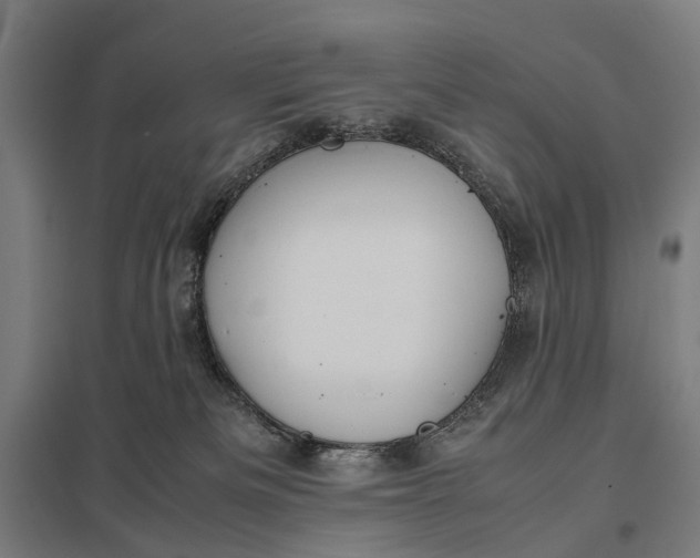 X0000097920133200803281435