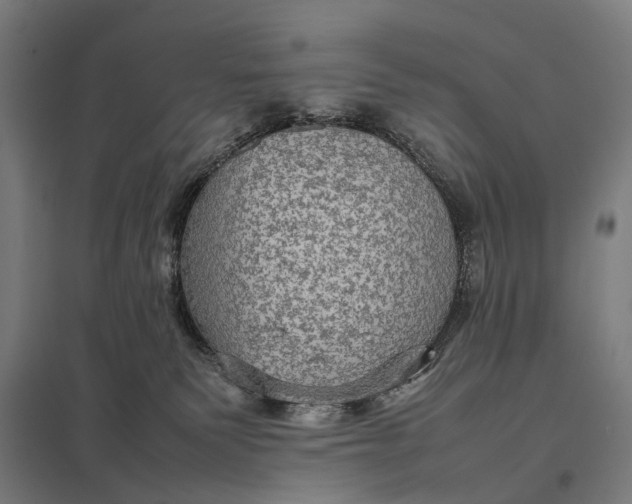 X0000097920135200803281435